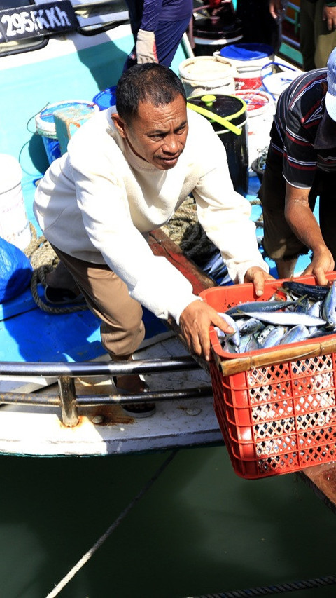 Kendala Cuaca Menyebabkan Kenaikan Harga Ikan