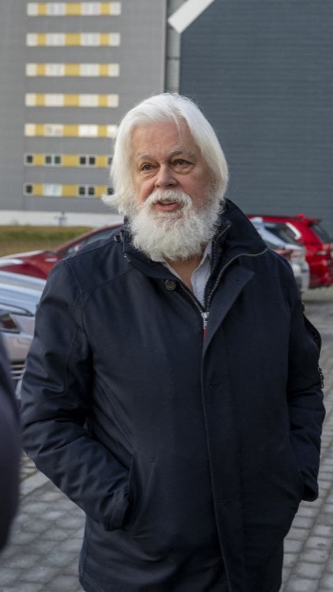 Paul Watson, Aktivis Anti-Pemburuan Paus, Dibebaskan di Greenland Setelah Lima Bulan