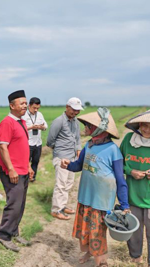 Kerja Sama Penuhi Kebutuhan Bawang Merah