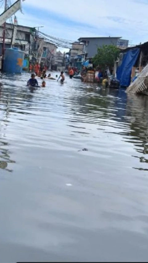 Banjir Rob Rendam Dua RT di Kelurahan Pluit pada Kamis Siang, Petugas BPBD Terpaksa Lakukan Hal Ini