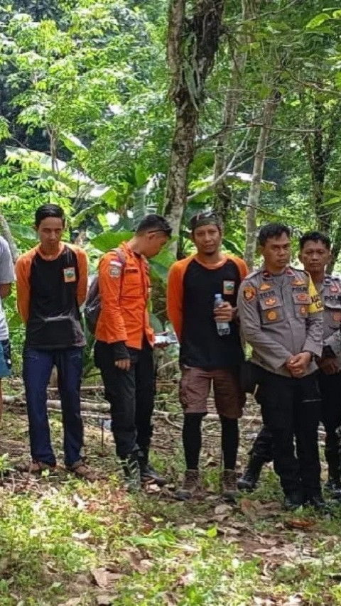 Tim SAR Evakuasi Enam Pendaki Tersesat di Gunung yang Ada di Kabupaten Morowali Utara