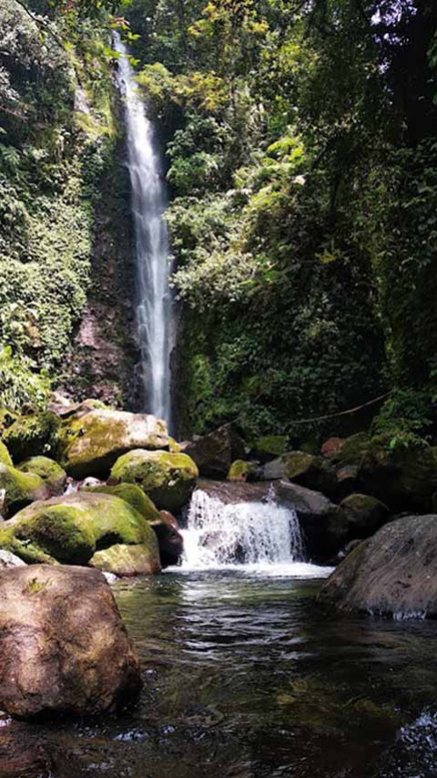 Jelajahi Alam Curug Ciparay  yang Menenangkan