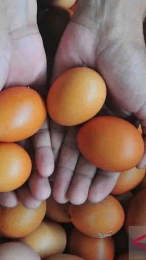 Harga Pangan Sabtu, Telur Ayam Rp30.710/Kg