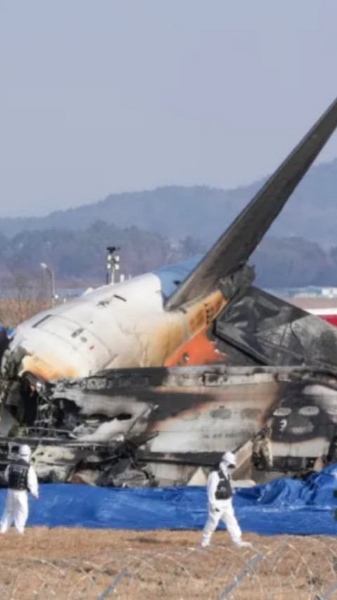 Setidaknya 176 Orang Tewas saat Pesawat Ini Jatuh di Bandara Korea Selatan