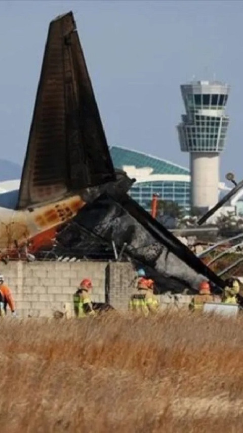 Peringatan Tabrakan Burung Dikeluarkan Sesaat Sebelum Jeju Air Jatuh