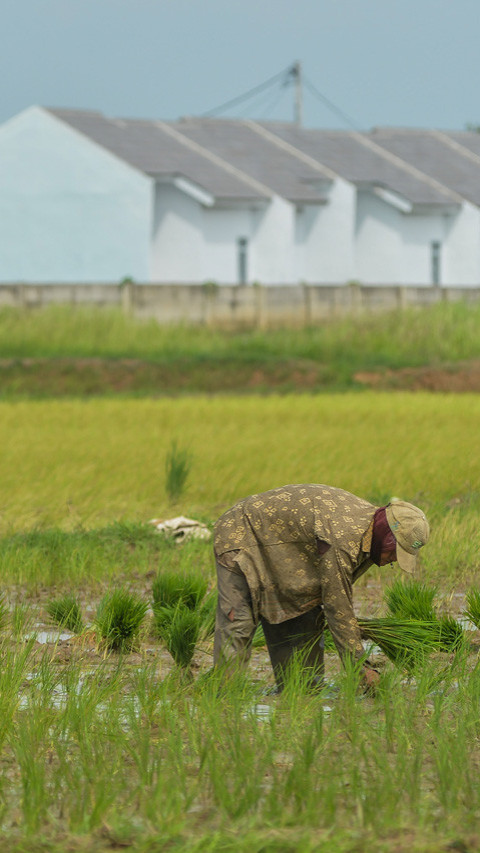 Pergeseran fungsi lahan pertanian menjadi perumahan