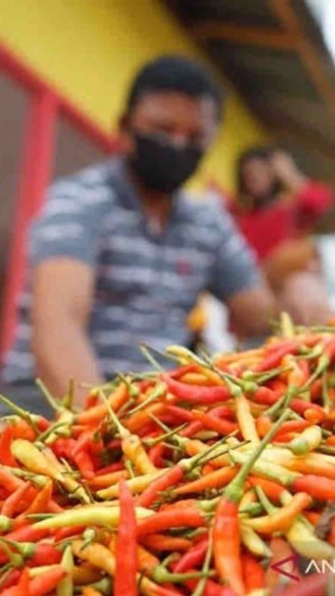 Harga Pangan Sabtu Fluktuatif, Cabai Rawit Merah Naik Jadi Rp64.940 per Kg