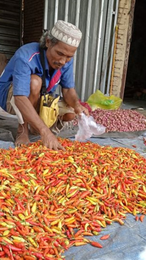 Di Mataram, Harga Cabai Rawit Tembus Rp90.000 per Kg