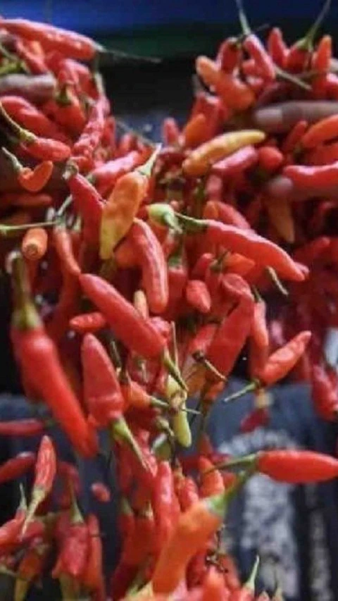 Senin, Harga Cabai Rawit Merah Turun Drastis Jadi Rp38.380/Kg 