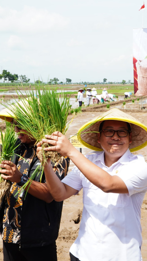 Bapanas: Pengadaan Beras Dalam Negeri Tahun 2024 Melejit