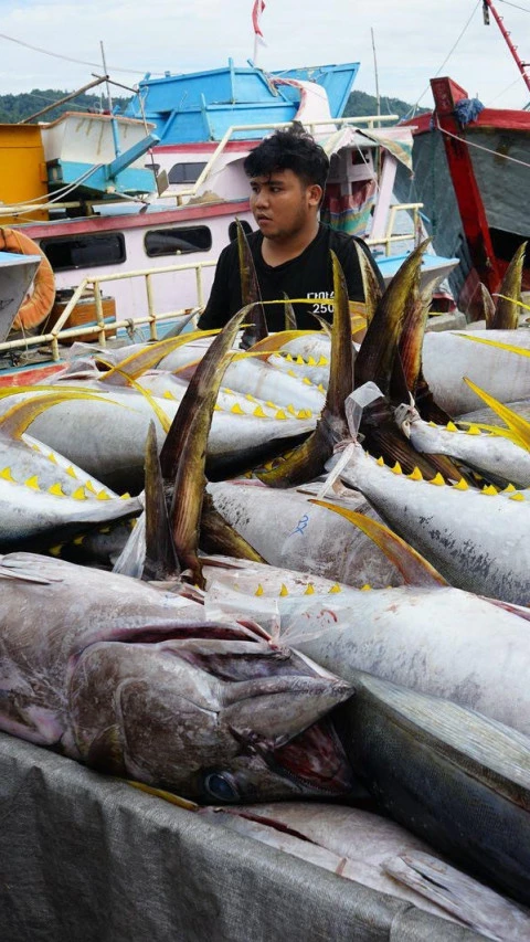 Cetak Rekor, Realisasi PNBP Ditjen Perhubungan Laut Capai Angka Rp.6 Triliun