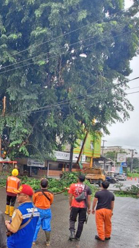 Pangkalpinang Bentuk Satgas Tebang Pohon