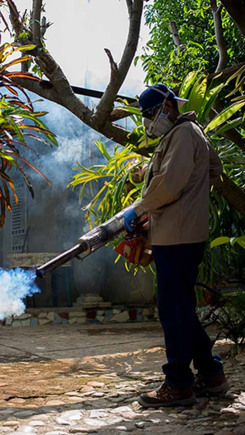 Antibodi Baru Dapat Ubah Permainan Melawan Malaria