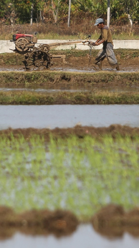 Produk Kredit Pertanian Saat Ini Belun Sesuai untuk Kebutuhan Petani