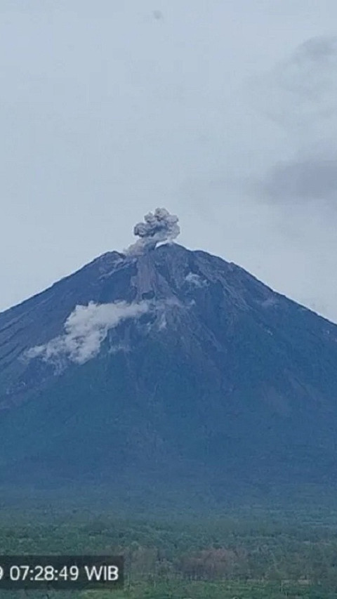 Gunung Semeru Erupsi Lagi, Lontarkan Abu Setinggi 500 Meter