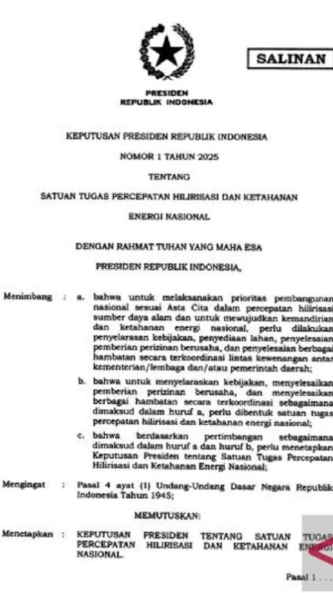 Presiden Prabowo Bentuk Satgas Percepatan Hilirisasi dan Ketahanan Energi, Ini Struktur Kepengurusannya