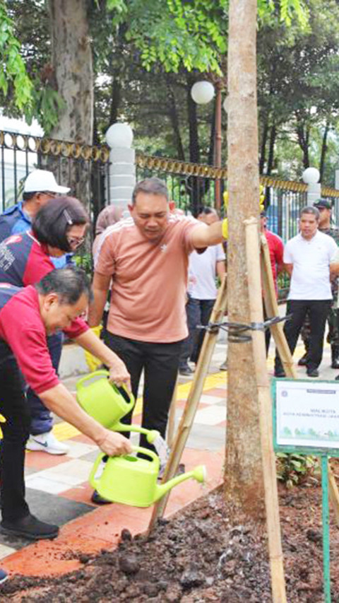 Jalan Senen Raya Mulai Ditanami Puluhan Pohon Tabebuya