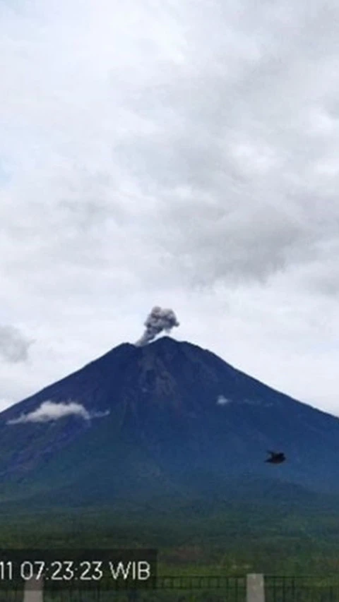 Gunung Semeru Erupsi Lagi, Warga Diminta Tetap Waspada