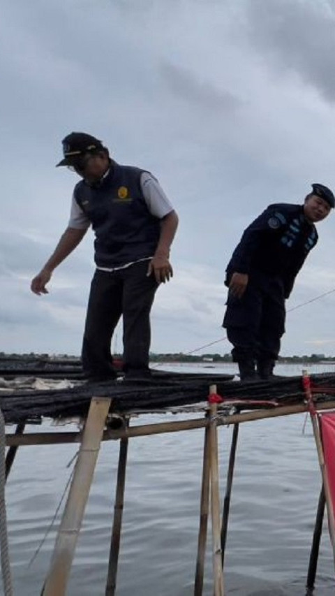 Soal Pagar Laut di Tangerang, Kepala Bakamla Yakin Dapat Ditangani KKP 