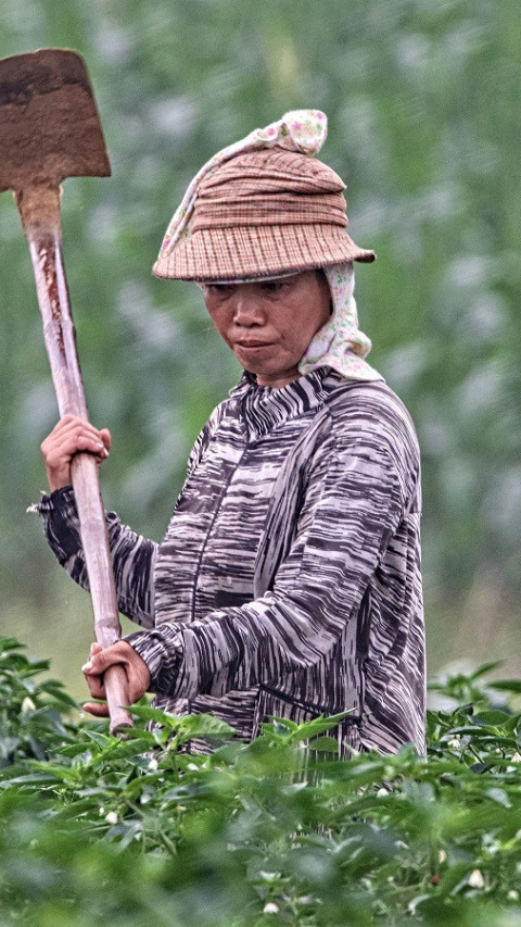 Investasi Berdampak, Cara Strategis untuk Hadapi Tantangan Sosial dan Lingkungan 