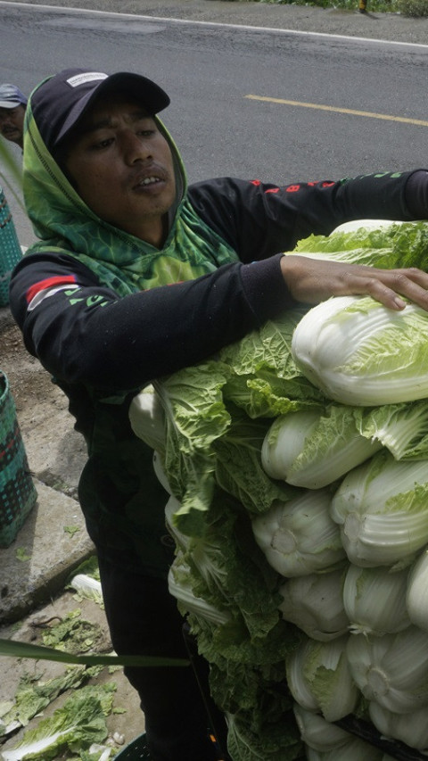 Harga Sayur Turun