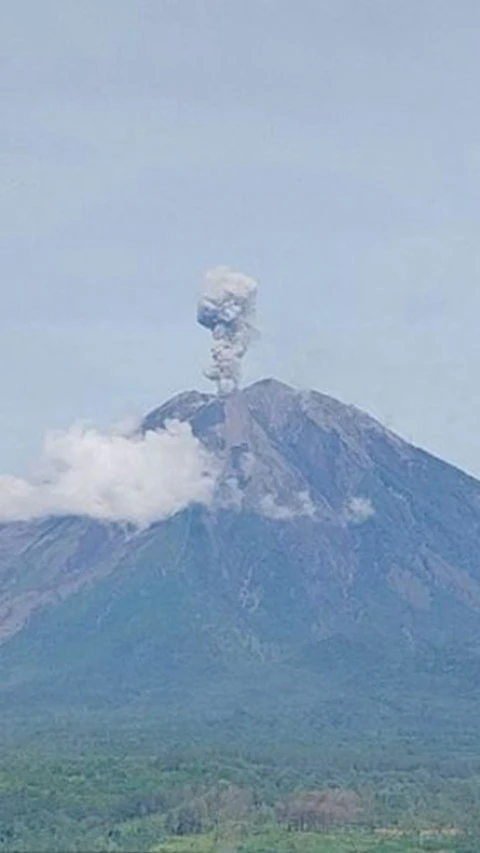 Semeru Erupsi dengan Letusan Setinggi 900 Meter