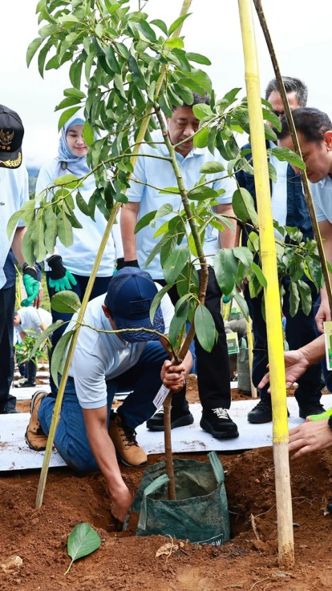 Pertamina Dukung Penanaman Pohon di Hulu Sungai Ciliwung