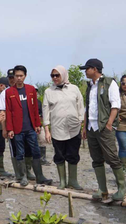 Menhut Targetkan Tanam Mangrove di 1.500 Hektare Lahan Setahun