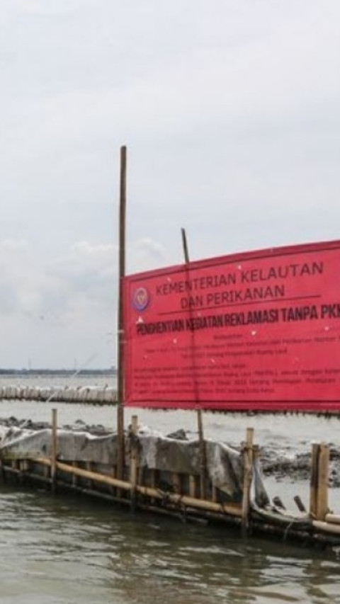 Pagar Laut di Pesisir Tangerang Segera Dicabut oleh Masyarakat, Begini Respons KKP