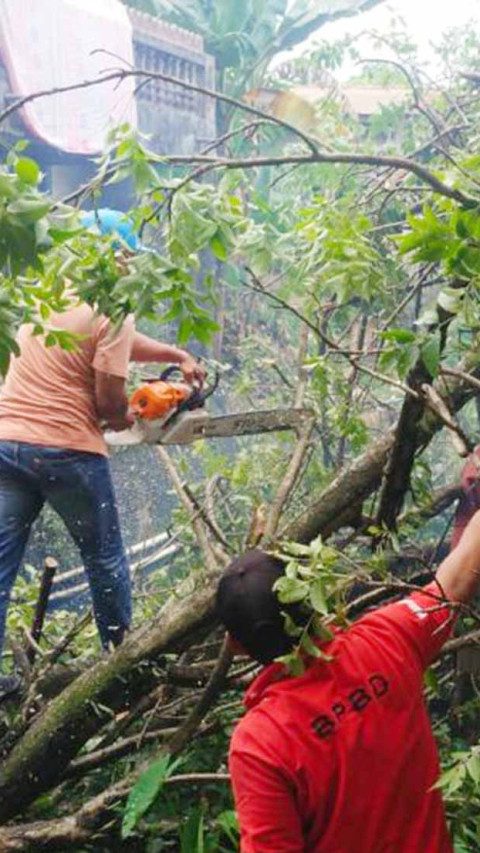 Penanganan Rumah Warga yang Tertimpa Pohon Dibantu BPBD Padang 