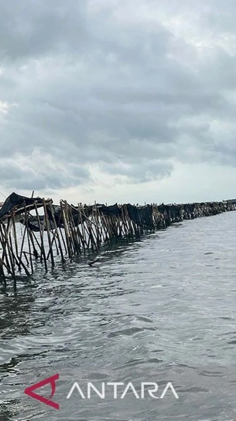 Walhi: Pagar Laut di Tangerang Merusak Ekosistem Lingkungan