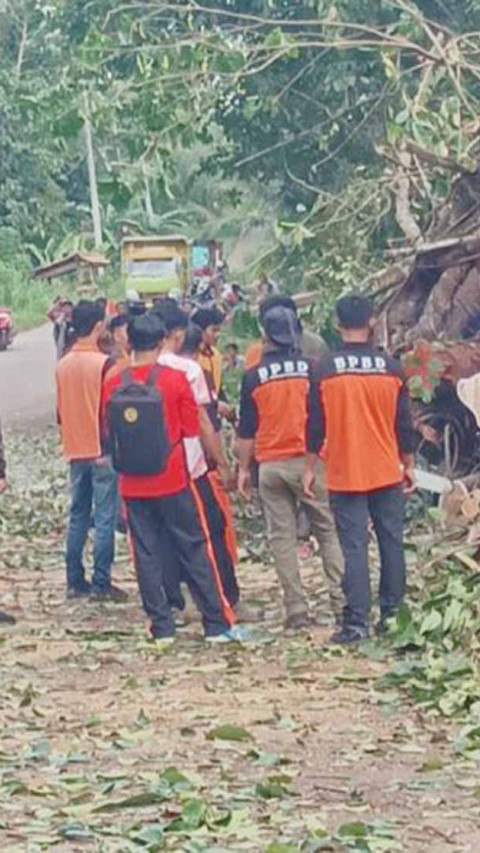 Curah Hujan Tinggi Sebabkan Pohon Berukuran Besar Tumbang Tutup Jalan di OKU