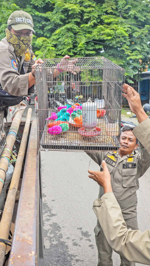 Relokasi Pedagang Pasar Ikan Hias