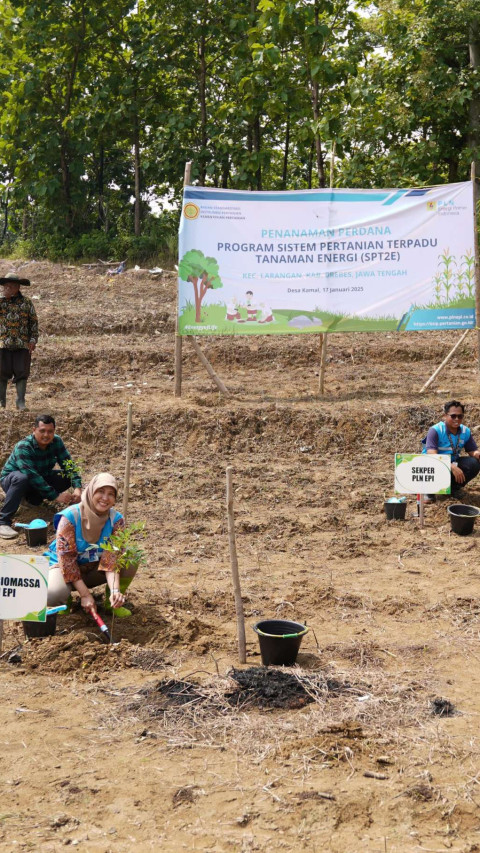 Sulap Lahan Tandus Jadi Tanaman Energi, PLN EPI Gandeng Kementan