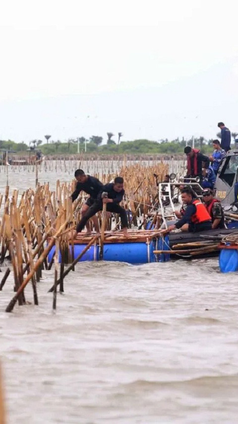 Usut Tuntas Pagar Laut, Anggota Komisi IV Usulkan Bentuk Pansus 