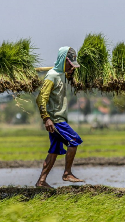 Swasembada Pangan Berkelanjutan, Investasi Jangka Panjang bagi Indonesia